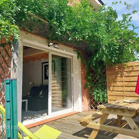 Dormir A Montauban Logements Carreyrat Calme Et Verdoyant Ngoại thất bức ảnh