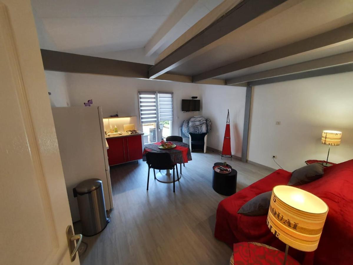 Dormir A Montauban Logements Carreyrat Calme Et Verdoyant Ngoại thất bức ảnh