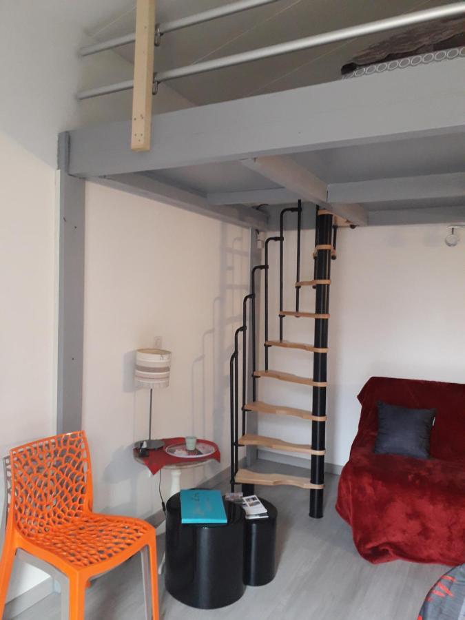 Dormir A Montauban Logements Carreyrat Calme Et Verdoyant Ngoại thất bức ảnh