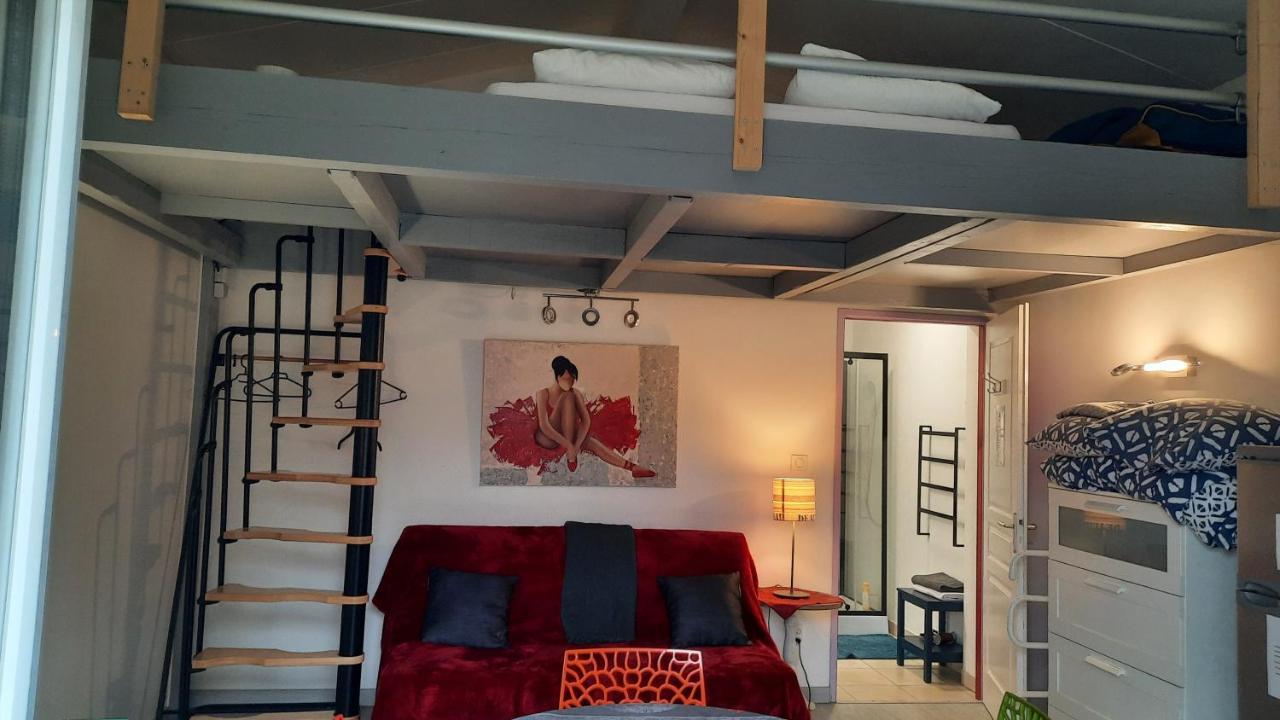 Dormir A Montauban Logements Carreyrat Calme Et Verdoyant Ngoại thất bức ảnh