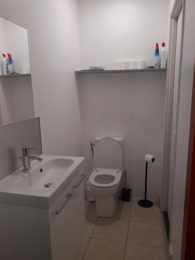 Dormir A Montauban Logements Carreyrat Calme Et Verdoyant Ngoại thất bức ảnh
